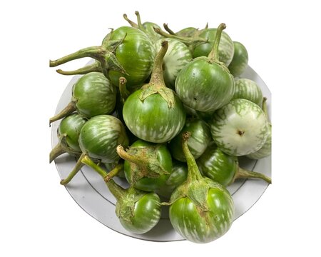 Fresh round eggplant or pea eggplant isolated on a clean white background, small green vegetable commonly used in traditional Asian cuisine.