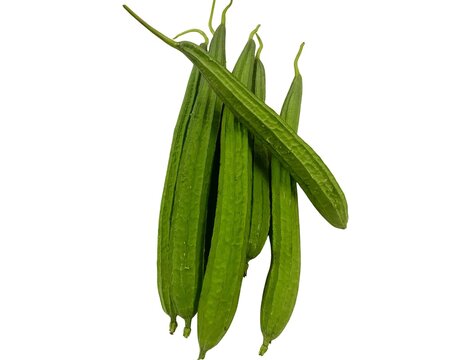 Fresh gambas or angled luffa isolated on a clean white background, nutritious green vegetable commonly used in Asian cuisine and healthy cooking.
