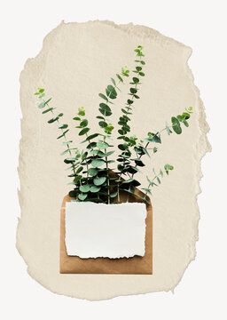 Leaf branch envelope ripped paper, aesthetic letter graphic