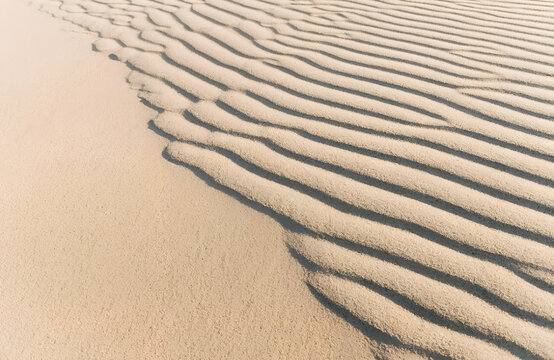 柔らかな斜光で浮かび上がる自然な砂の風紋背景