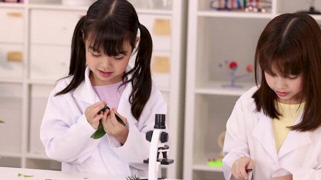 Two Schoolgirls in Lab Coats Examining Plant Leaves in Science Classroom