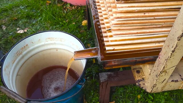 Natural apple juice flowing from a traditional fruit press into an enamel bucket outdoors on the green grass, representing homemade cider production and organic harvesting in autumn