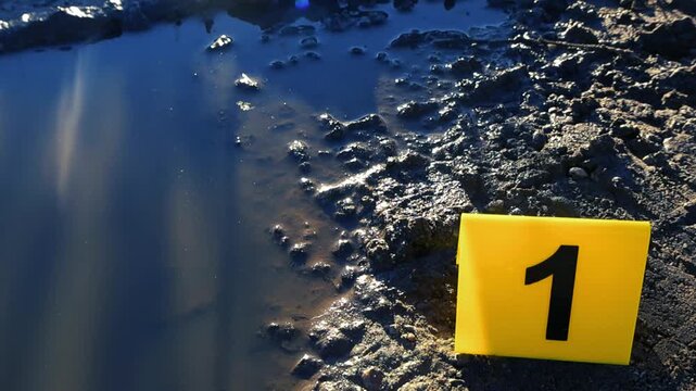 Close up of a yellow evidence marker with the number one placed on a muddy road near a puddle at a crime scene. Forensic investigation and criminal evidence gathering on a sunny day