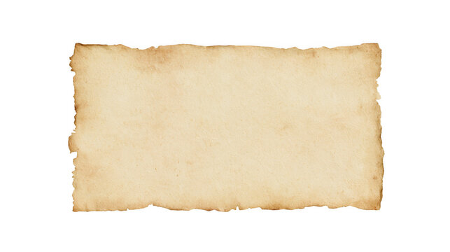 Vintage blank parchment paper with tattered edges for historical document isolated on a white background