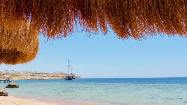 Luxury 5 star resort beach view in Sharm El Sheikh Egypt with beautiful tropical palm trees and white cruise yachts sailing on clear turquoise water of the scenic Red Sea bay during summer vacation.
