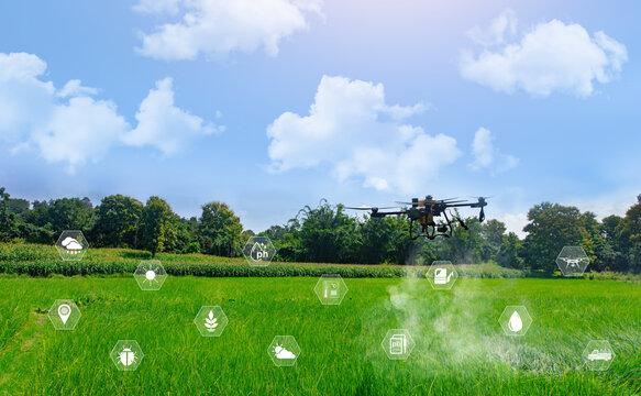 Agricultural drone spraying fertilizer or pesticide over green rice fields with smart farming icons. Concept of precision agriculture, IoT crop monitoring, and modern farm automation technology.