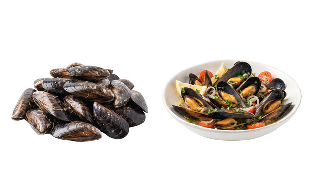 Fresh Mussels Isolated on Transparent Background, Raw Shellfish and Cooked Seafood Dish Cutout for mollusks and bowl Projects food gourmet culinary protein diet nutrition healthy restaurant menu clams