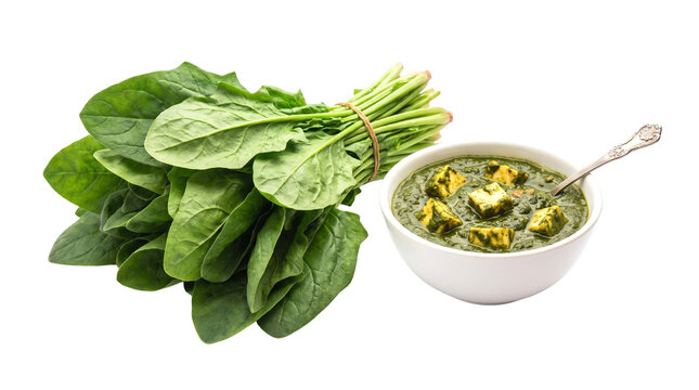 Palak Paneer with fresh spinach bunch isolated on transparent background for culinary menu design indian food vegetarian bowl spoon curry cheese green leafy cutout png healthy diet gourmet cuisine