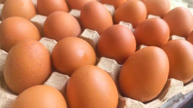eggs in a box