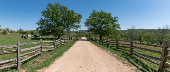 Fototapeta premium Dirt gravel farm road stretching into the distance flanked by wooden splitrail fences and green pasture with grazing cows under blue sky