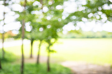 Abstract bokeh background of bright green public park lawn with empty trees © spacezerocom