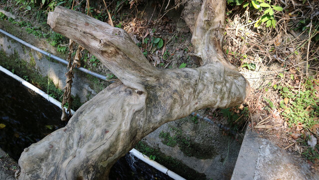Old weathered tree log lying across a small rural water stream channel