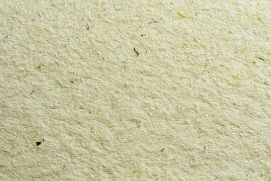 The textured beige wall close-up showing rough plaster surface detail