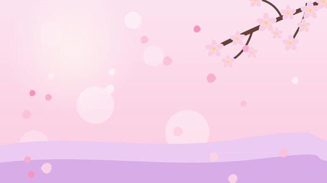 Beautiful pink cherry blossom flowers on a branch with soft light and floating petals background