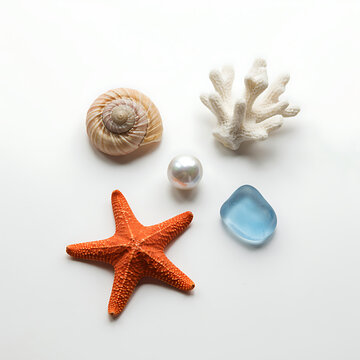 Starfish seashell pearl white coral and sea glass on white background