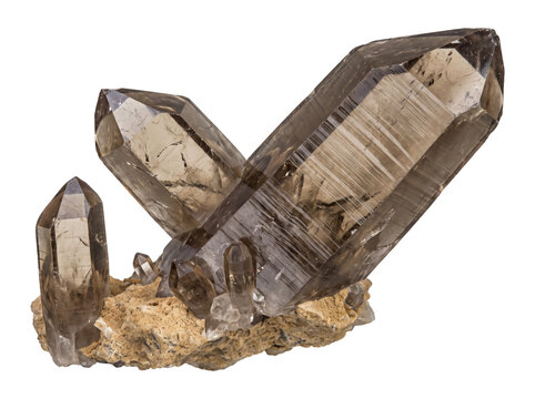 Natural smoky quartz crystal cluster specimen on matrix isolated on white background