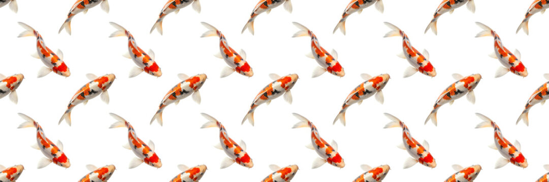 Koi fish seamless pattern for branding packaging textiles stationery wallpaper and surface design