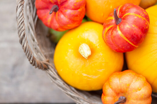Close Up of Bright Yellow Orange and Red Mini Pumpkins in Rustic Basket