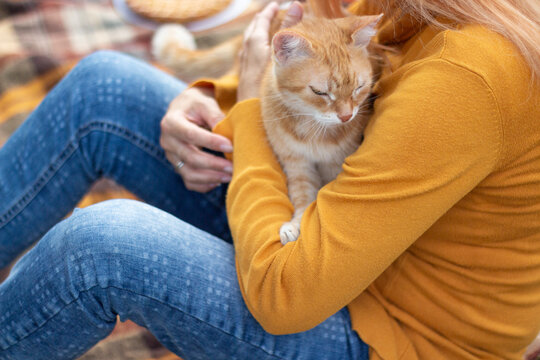 Woman in Mustard Yellow Sweater Cuddling Ginger Cat at Autumn Picnic
