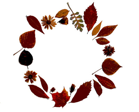 Circular frame made of composition of dry autumn leaves and flowers in terracotta shades on white, light gray background. Natural, seasonal decor with copy space. Flat lay, herbarium, wreath, collage.