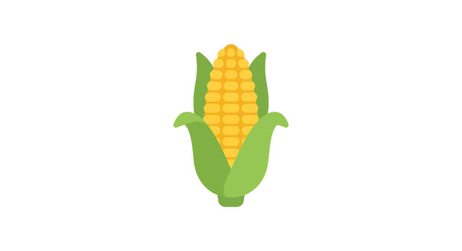 A yellow corn cob with green husks stands against a white background