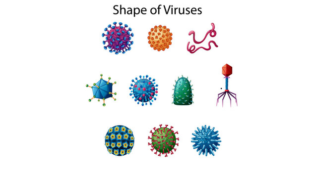 Shape of Viruses, Medical illustration showing various shapes and structural forms of viruses, including spherical, helical, filamentous, icosahedral, and bacteriophage-like viral particles.