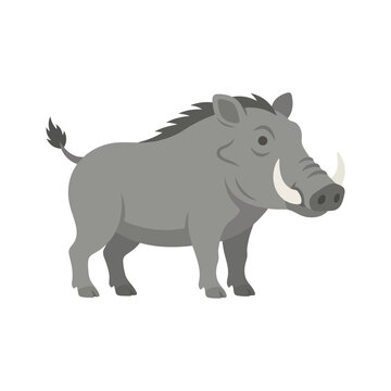 Warthog wild boar character standing profile showing grey skin tusks and spiky mane for savannah animal icons or nature wildlife conservation graphic art projects.