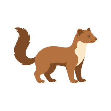 Realistic brown pine marten standing in profile with fluffy tail and cream colored chest patch for wildlife education or animal themed graphic design projects.