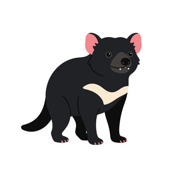 Tasmanian devil cartoon vector illustration featuring black fur with white chest mark and pink ears isolated for educational wildlife content and animal designs.