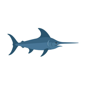 Swordfish swimming in ocean isolated on transparent background for marine life educational projects and sea wildlife conservation campaign visual material designs.