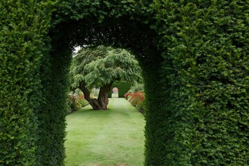 Fototapeta premium The Garden Archway Framing a Tree in a Lush Green Landscape