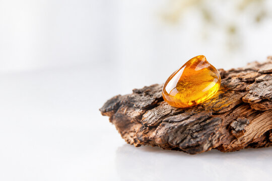 Golden copal resin drop on tree bark against white surface.