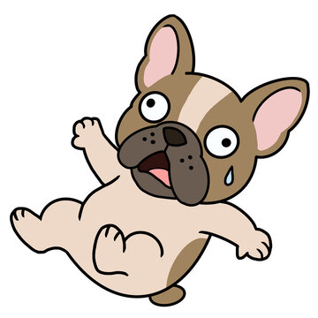 A french bulldog was startled and fell over.