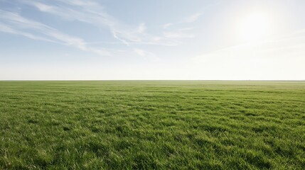 Naklejka premium Flat grass field stretching to the horizon under a wide blue sky with sunlight