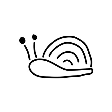 Hand drawn line art snail with spiral shell outline illustration