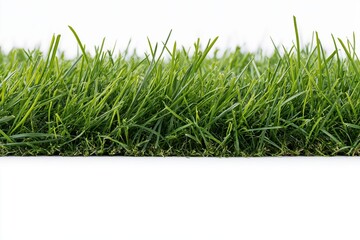 Naklejka premium The lush green grass blades in a pristine lawn scene