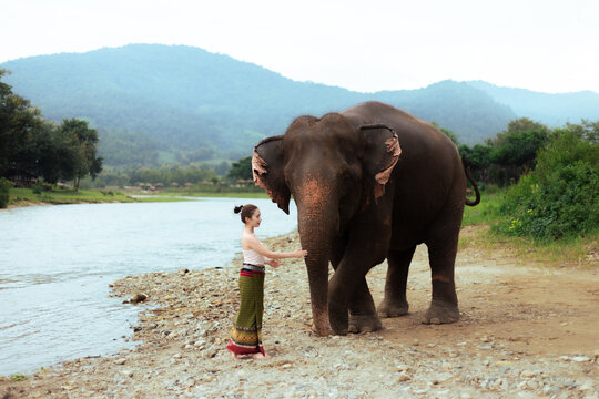 Woman touching elephant beside river in tropical mountain landscape evokes calm wildlife connection and responsible animal care during outdoor travel experience