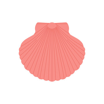 Feminine pastel pink scallop seashell illustration featuring classic ribbed texture and symmetrical beach vibes ideal for ocean themed designs and summer graphics.