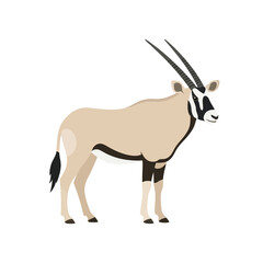 Oryx antelope standing profile view showcasing tan coat black facial markings long pointed horns suitable for desert wildlife imagery and safari themed graphics. © Rubab
