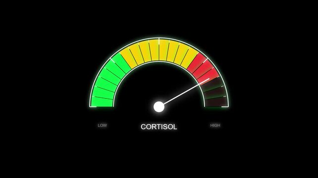 Cortisol level gauge meter animation: stress hormone monitoring and health analysis concept