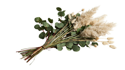 Bouquet of dried pampas grass and green eucalyptus leaves tied with twine © Rufus