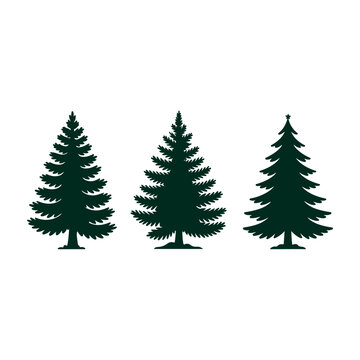 Pine Tree Silhouettes and Evergreen Forest Vector Set. Christmas Tree Silhouettes Isolated on White Background. Minimalist Christmas Tree Silhouettes Set for Holiday Design. 