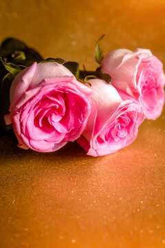 Pink rose on a shiny gold background
