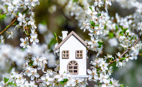 symbol of the house among the white cherry blossoms
