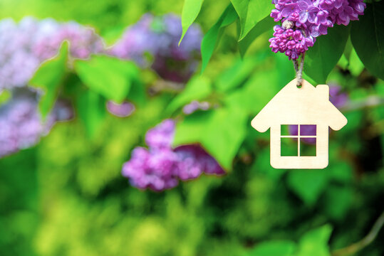 The symbol of the house among the branches of the pink lilac
