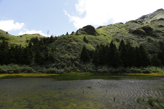 Menghuan pond wetland in Yangmingshan national park.