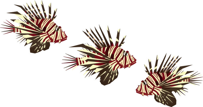 Venomous Lionfish Species Vector Illustration Set Featuring Striped Pterois Volitans Icons for Tropical Coral Reef Infographics, Marine Biology Education, and Aquatic Wildlife Graphic Designs