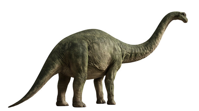 Brachiosaurus dinosaur with long neck and textured green skin standing in profile