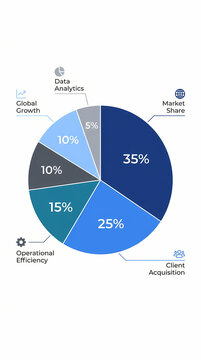 Professional business pie chart infographic showing percentage distribution of corporate performance metrics and growth.