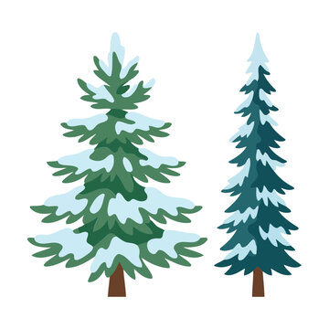 Two green pine trees with snow on branches for winter season Vector